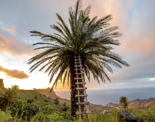First Timer’s Guide to La Gomera, Canary Islands