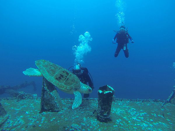 The Benefits of Renting High-Quality Dive Gear Jarastyle travel