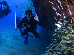 A dive travel platform helps divers find their next underwater experience