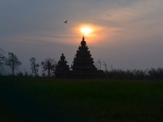 Culture, Dish by Dish, in South India with Naya Traveler