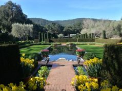 San Mateo County/Silicon Valley