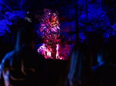 An Illuminating & Completely Magical Multimedia Night Walk in Whistler