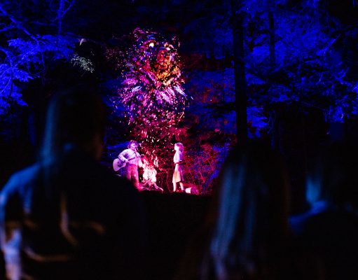 An Illuminating & Completely Magical Multimedia Night Walk in Whistler