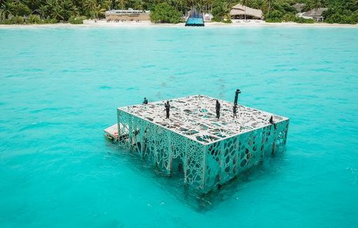 The Coralarium by Jason Decaires Taylor Opens at Fairmont Maldives Sirru Fen Fushi