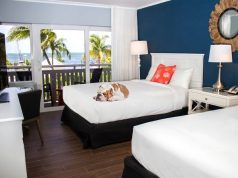 Banana Bay Resort & Marina in Marathon, Florida