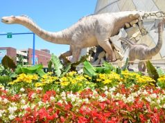 World’s Largest Children’s Museum Gets Noticed for Extraordinary Architecture