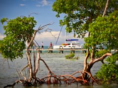 A Lineup of Hotel Openings for Belize Faces in 2021