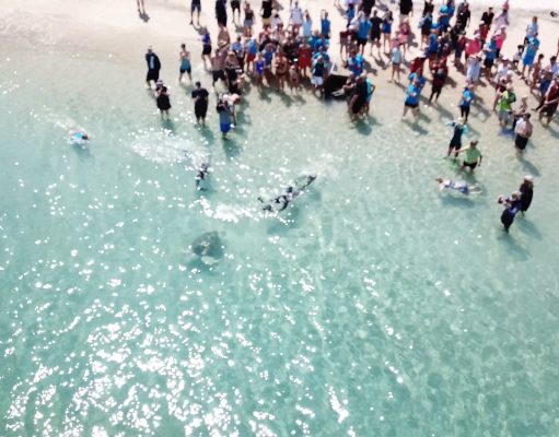 5 Unique Ways to Travel Sustainably in Costa Rica