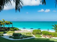 TIS THE SEASON TO CREATE NEW HOLIDAY TRADITIONS AT BIANCA SANDS