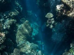 Scientists Join Forces with the Tourism Industry