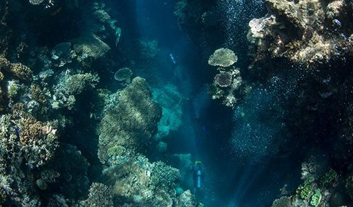 Scientists Join Forces with the Tourism Industry