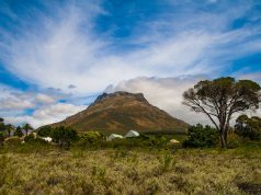 WHAT’S NEW IN STELLENBOSCH, SOUTH AFRICA’S FOOD AND WINE CAPITAL