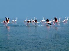 Discover Odisha, India’s Best Kept Secret