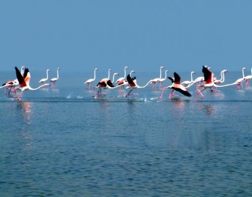 Discover Odisha, India’s Best Kept Secret
