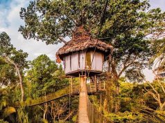 Rainforest Cruises Offers Luxury Bucket List Adventure Package Including Amazon River Cruise, Treehouse Lodge and Flights