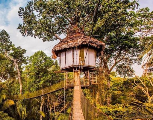 Rainforest Cruises Offers Luxury Bucket List Adventure Package Including Amazon River Cruise, Treehouse Lodge and Flights