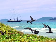 Why 2019 is Officially the Year of Seychelles