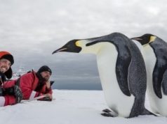 Traveling to Antarctica: the Antarctic season begins