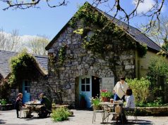 6 reasons to eat your way across the Emerald Isle