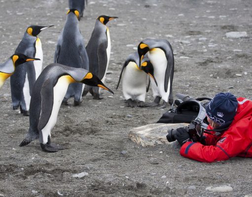 Photography Symposiums Shine a Bright Light on Antarctica