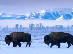 3 Reasons to Leave Home for the Holidays