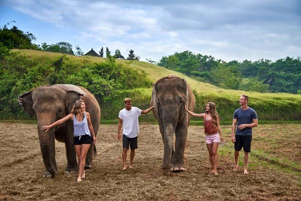 Hasil gambar untuk elephant mud fun