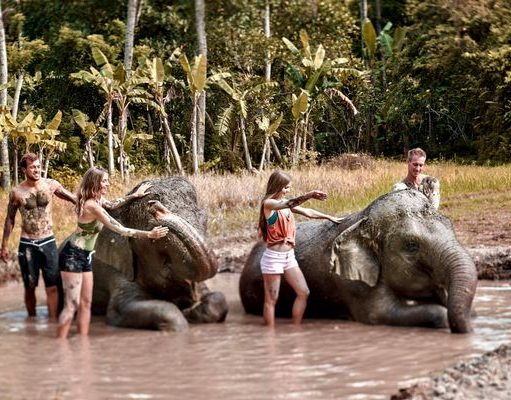 Elephant Mud Fun