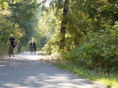 Biking Beyond: Taste and Explore the Olympia Region on Two Wheels With New Self Guided Tour