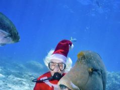 Santa dives into Great Barrier Reef events