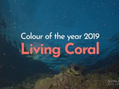 Great Barrier Reef home of top colour for 2019
