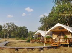 Cardamom Tented Camp in Cambodia