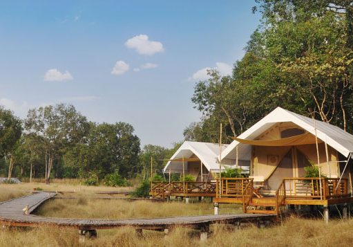 Cardamom Tented Camp in Cambodia
