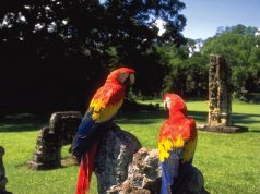 Central America Tourism Trends 2019