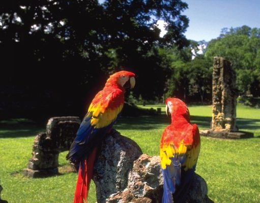 Central America Tourism Trends 2019