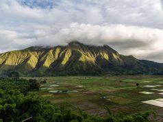 Tourism in Lombok on its Feet Again for 2019