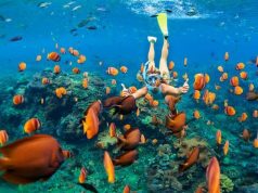 Calorie-crushing Activities to try on Vacation