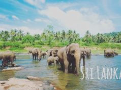 New Destinations to Be the Change in 2019