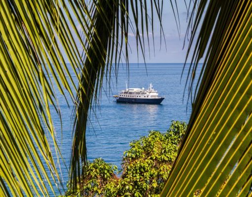 UnCruise Adventures Small Ship Adventure Cruises for 2019