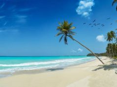 5 Reasons to Visit the Exumas this Year