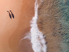 Journey Beyond Welcomes Sal Salis & Darwin Harbour Cruises