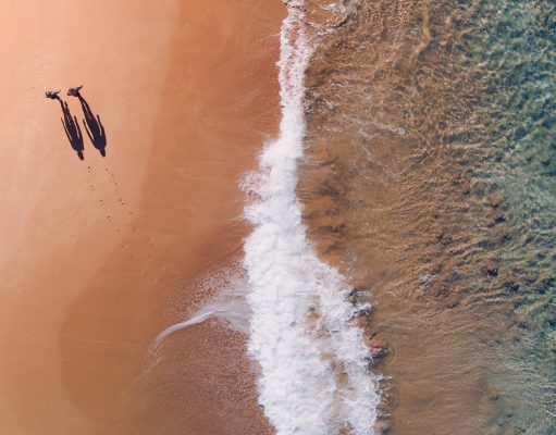 Journey Beyond Welcomes Sal Salis & Darwin Harbour Cruises