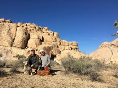 Happy Tails Canine Adventure Tours Launches the ‘Ultimate Dog-Lover’s Adventure”