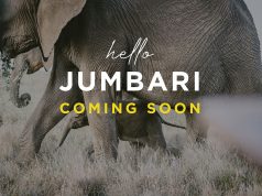 Jumbari Family Safaris set to open in March 2019