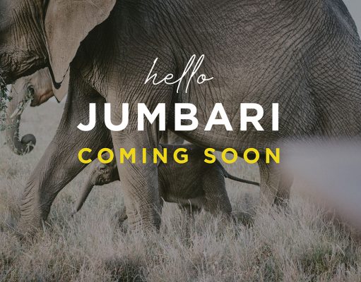 Jumbari Family Safaris set to open in March 2019