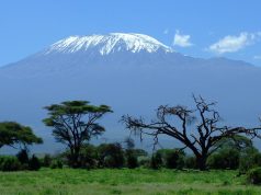 Vegetarian options even while on safari with Duma Explorer