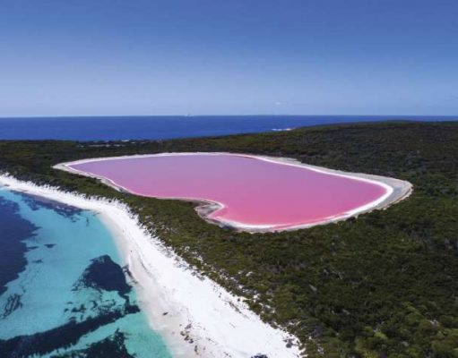 An Urban Lake in Australia Has Turned Pink!