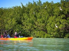 Nature Seekers: Discover St. Lucie’s Hiking, Paddling, Horseback Riding & More