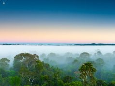 Brazilian Luxury Travel Association Shares Latest Trends in Luxury Travel to Brazil