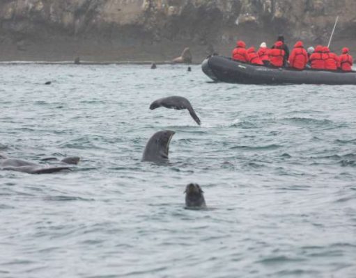Travel in Luxury on New Small-Ship Cruises to Rarely Visited Russian Arctic