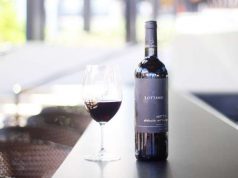 Grand Hyatt Playa del Carmen Ushers in  Malbec World Day with Grand Celebration